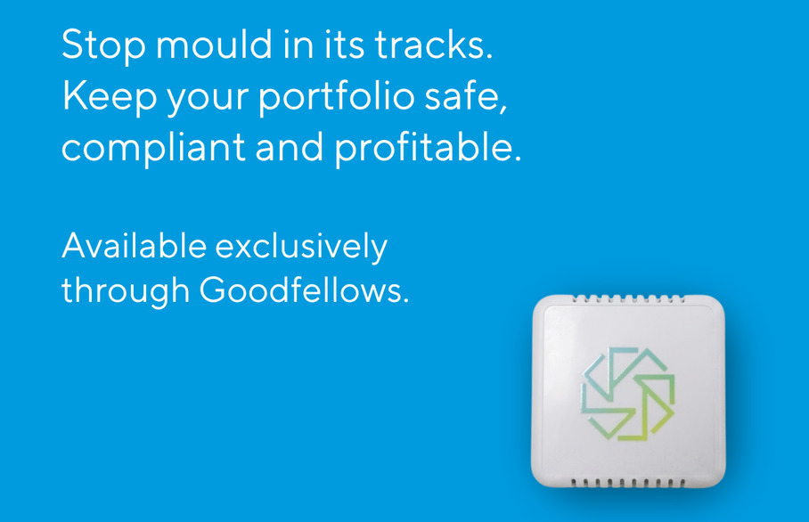 How landlords can prevent damp and mould: Introducing our new mould protection service