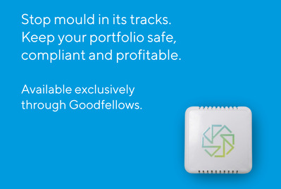 How landlords can prevent damp and mould: Introducing our new mould protection service