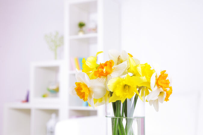 A vase of daffodils