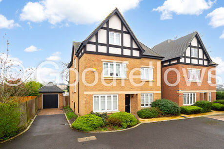 7 bedroom detached house to rent, Available now