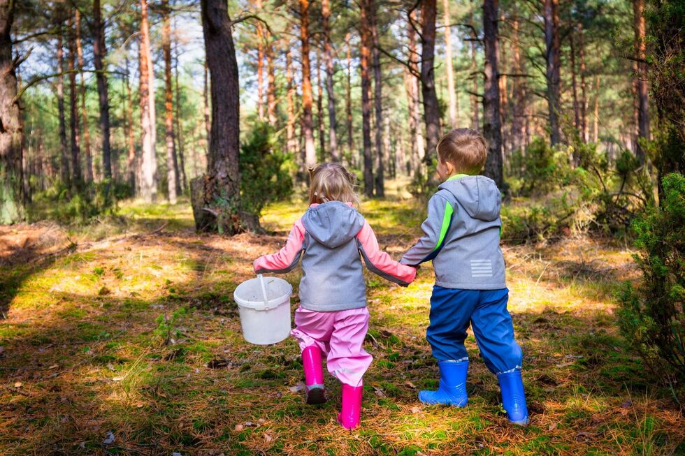 Children walking in the trees