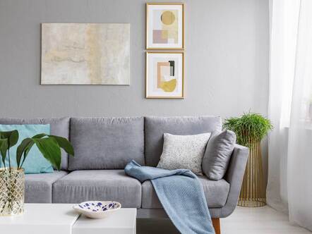 grey sofa standing in a stylish living room