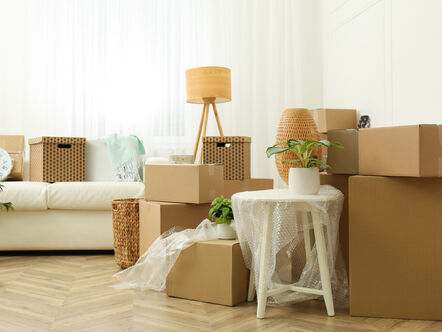 Cardboard boxes, potted plants and household stuff indoors.